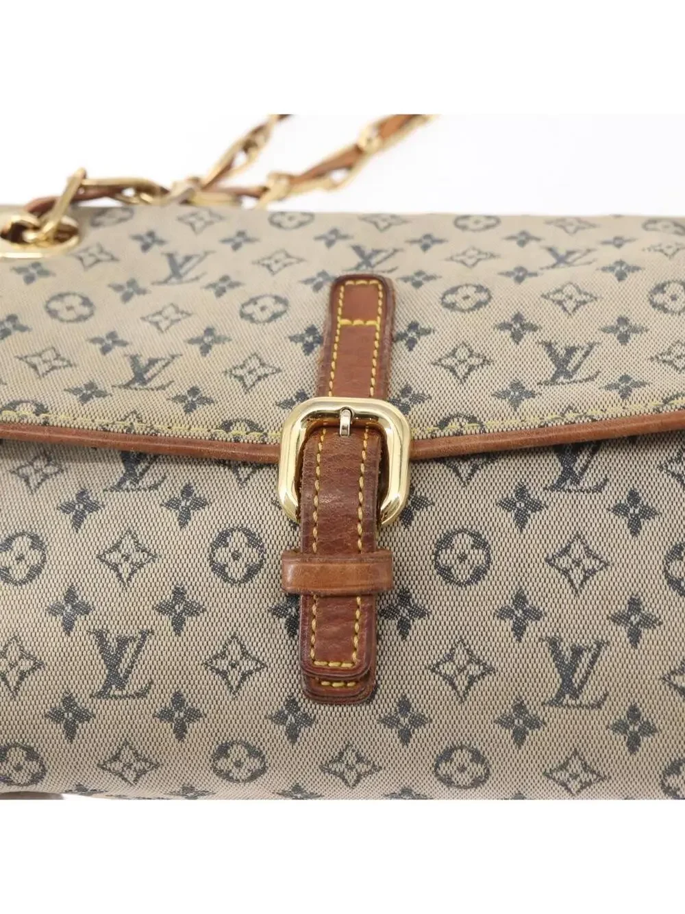 Louis Vuitton Mini Camille Chain #360937L58B